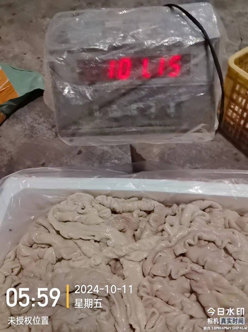 批发预煮大肠