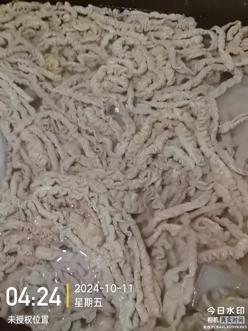 批发预煮大肠
