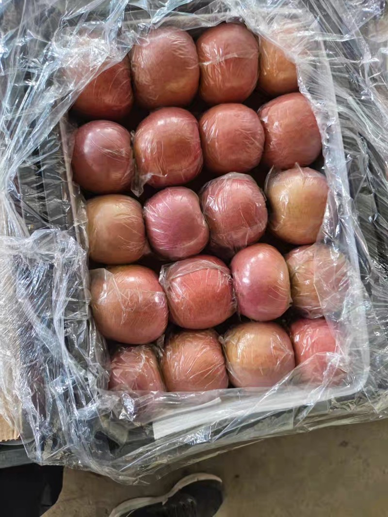 山西运城临猗冰糖心膜袋红富士，膜袋苹果，口感甜脆好吃
