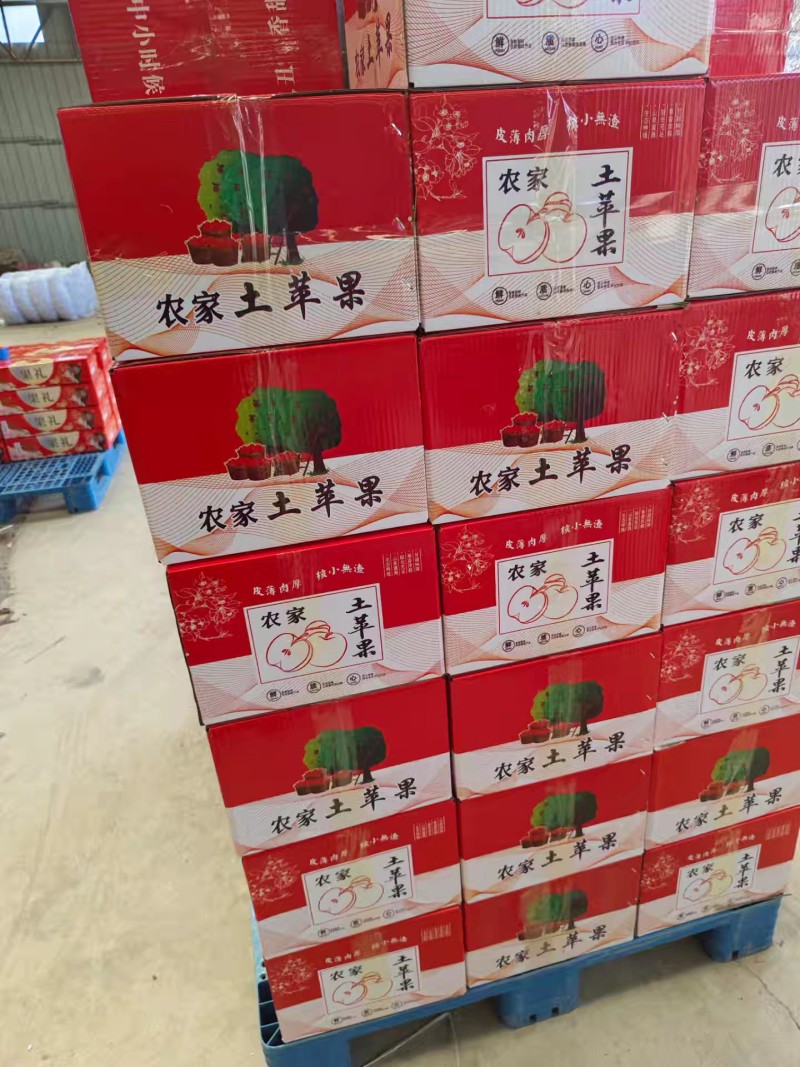山西运城临猗冰糖心膜袋红富士，膜袋苹果，口感甜脆好吃