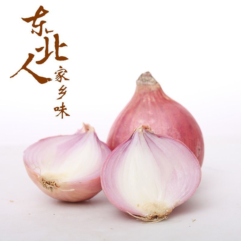 毛葱小毛葱2.5以上大量出售毛葱鬼子葱小个体葱毛葱头
