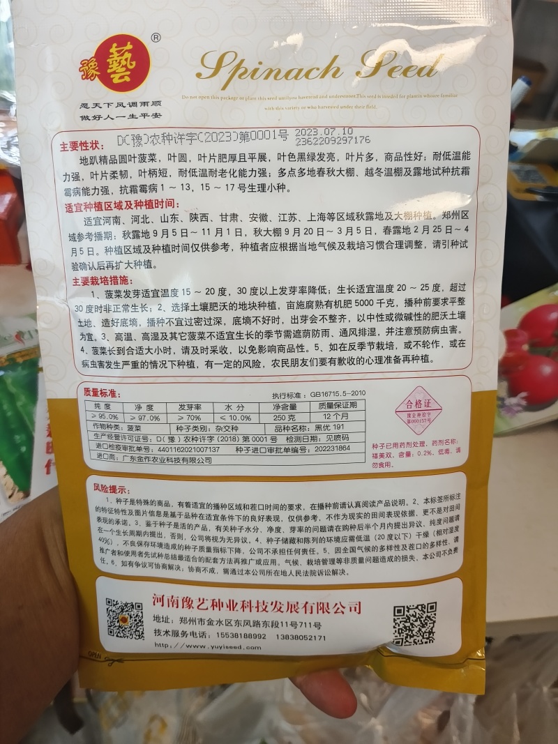 半直立菠菜种子圆形厚叶耐寒叶肉厚品质好一亩地3斤
