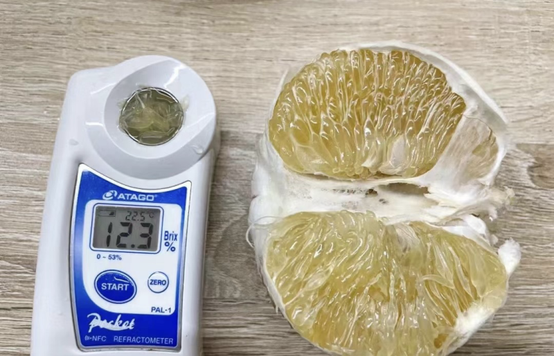 福建平和爆汁葡萄柚，品质保证，量大从优！