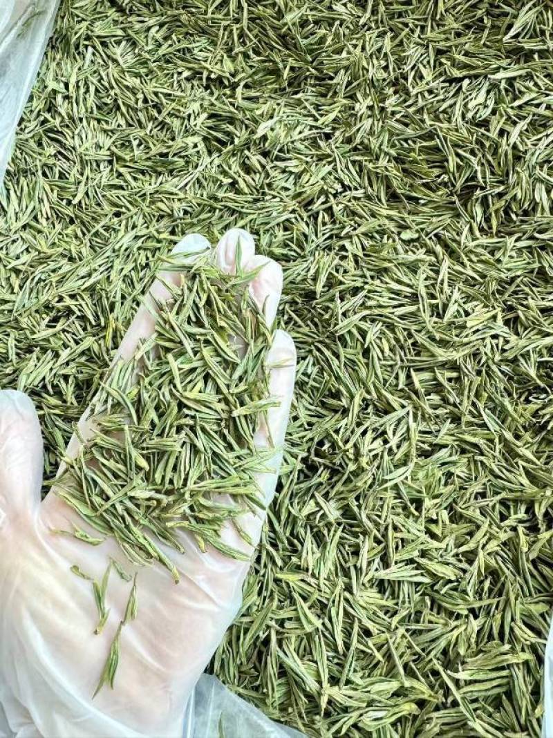 安吉茶农直供！新鲜安吉白茶，清香爽口，品质保证