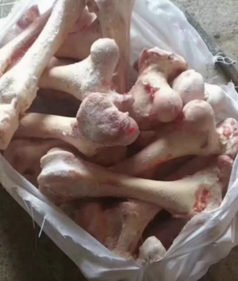 牛棒骨厂家一手货源保质保量发货批发零售