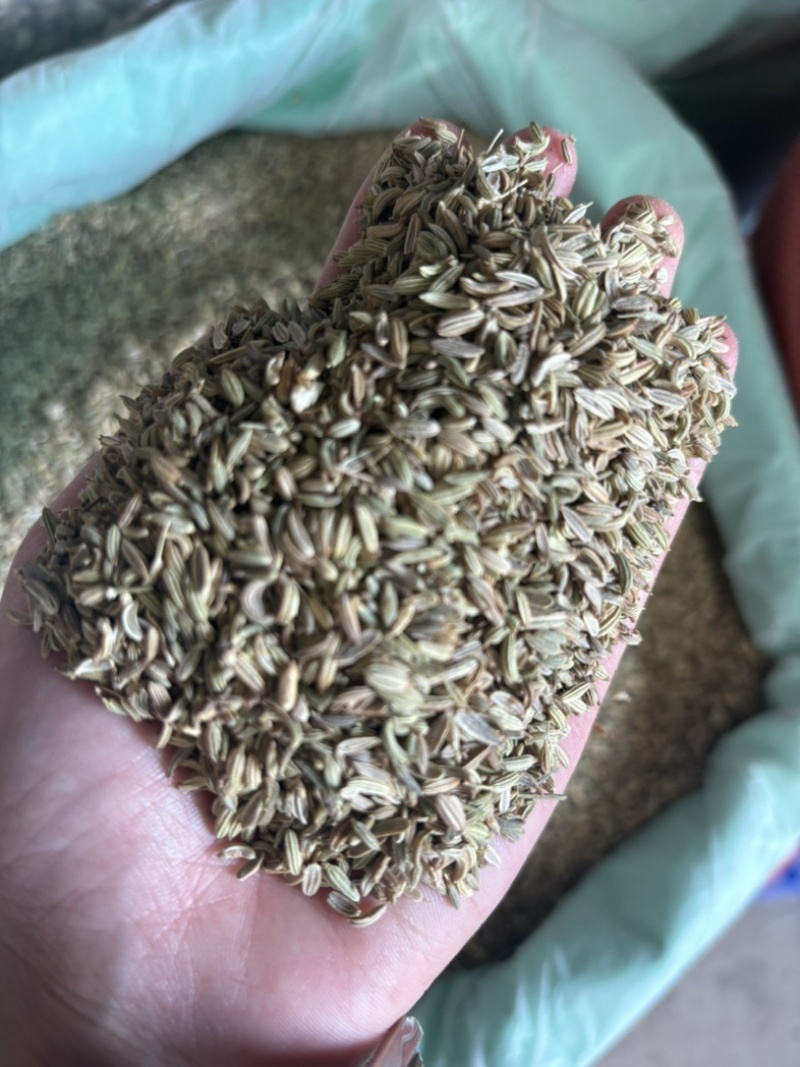 产地直发小茴香，长期供应，一件也是批发价。