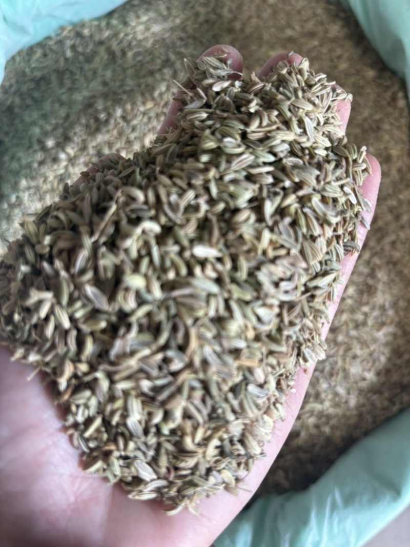 产地直发小茴香，长期供应，一件也是批发价。