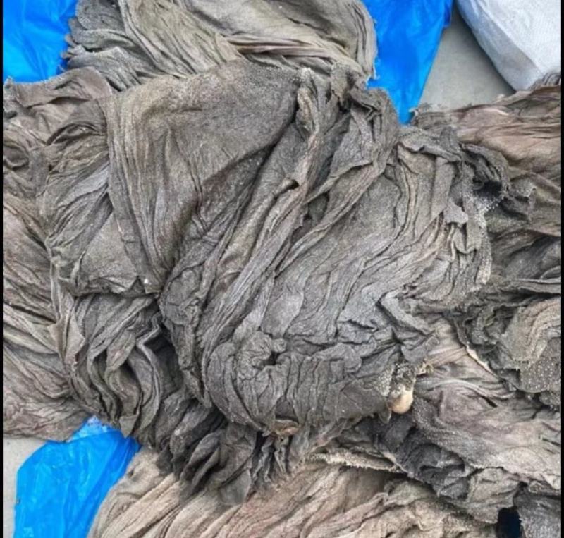 盐百叶，盐干百叶，大量供应，货源充足
