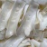猪黄喉大量供应，新鲜食材，量大从优，保质保量重庆产地