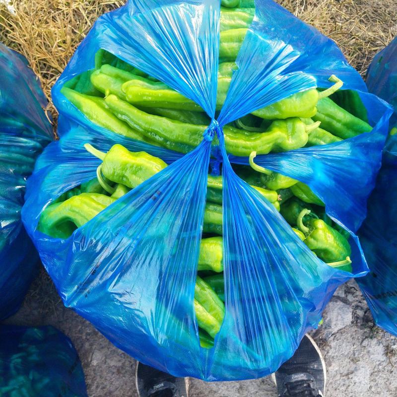 精品辣椒