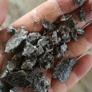 油葵饼需要的联系