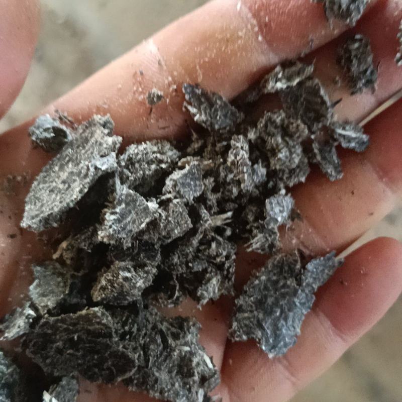 油葵饼需要的联系