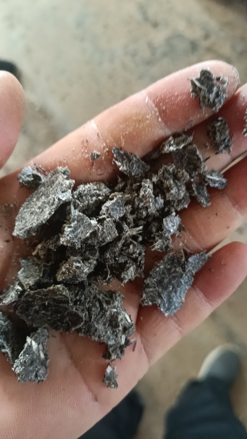 油葵饼需要的联系