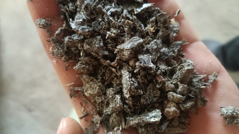 油葵饼需要的联系