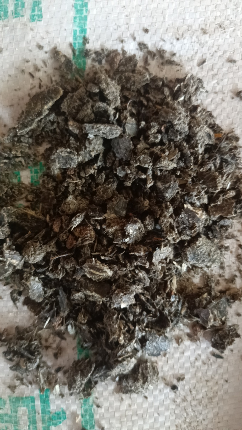 油葵饼需要的联系