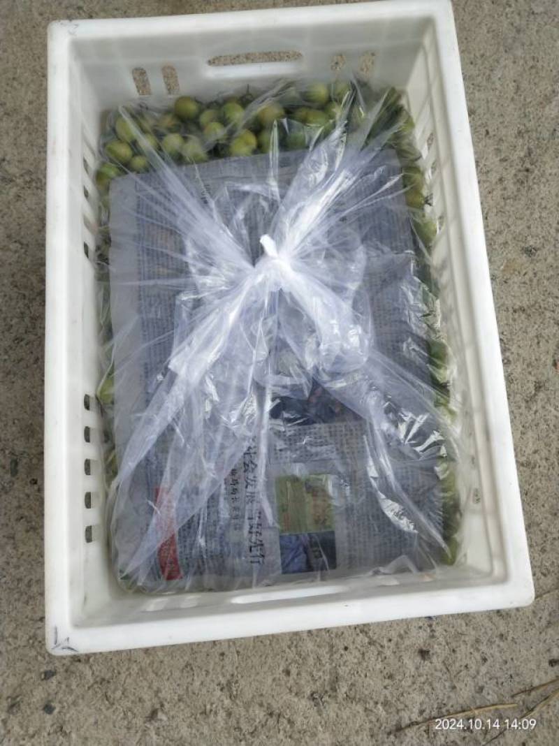 新鲜圣女果，甜蜜多汁，健康美味，**特惠，速来抢购！