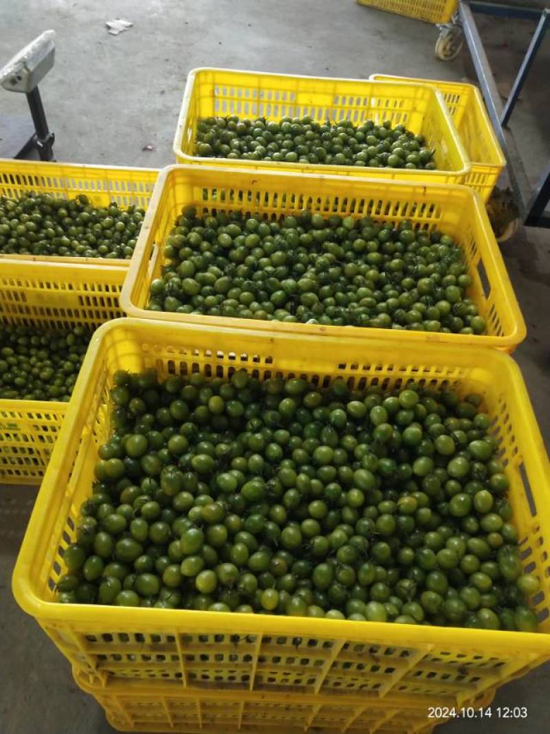 新鲜圣女果，甜蜜多汁，健康美味，**特惠，速来抢购！