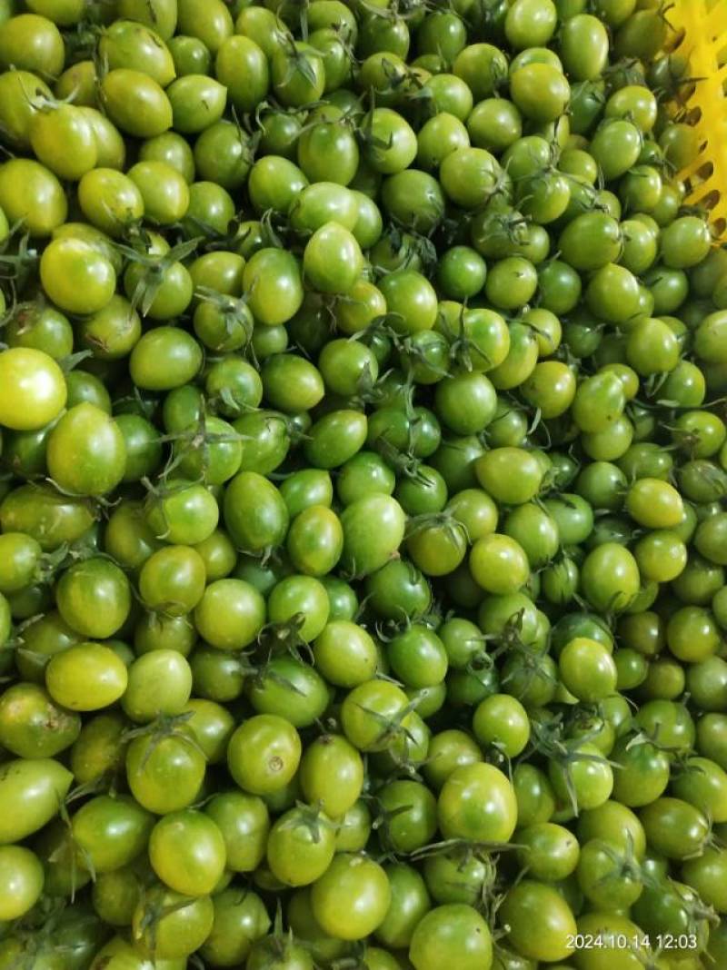 新鲜圣女果，甜蜜多汁，健康美味，**特惠，速来抢购！