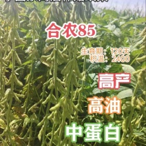 大量合农85大豆。代收，有收豆的老板联系我