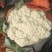 精品松花菜大量供应河北产区，直发量大，从优，货源充足