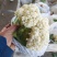 精品松花菜大量供应河北产区，直发量大，从优，货源充足