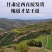 甘肃岷县无硫党参段可配中药材当归黄芪炖汤泡水