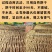 甘肃岷县无硫党参段可配中药材当归黄芪炖汤泡水