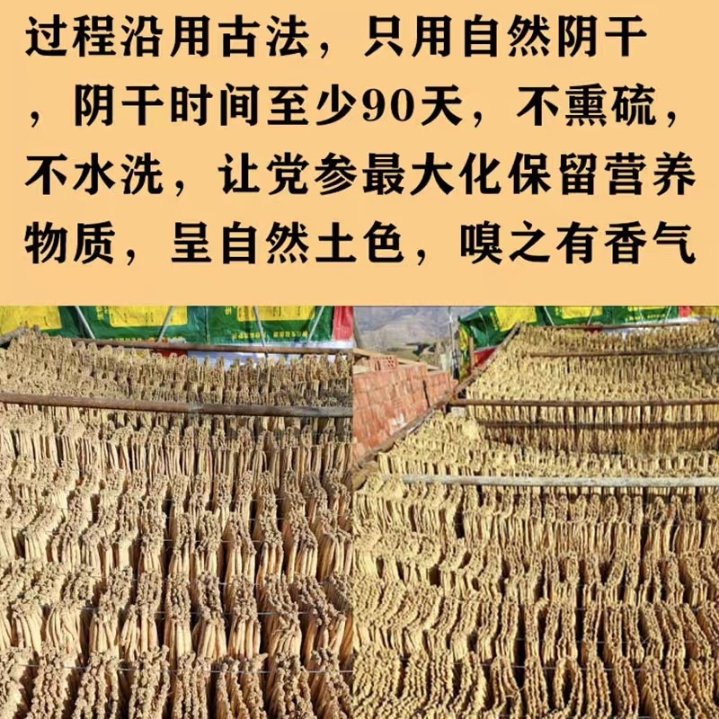 甘肃岷县无硫党参段可配中药材当归黄芪炖汤泡水