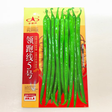 领跑线5号线椒品种杂交一代，青皮线椒品种，种子