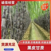 广西特产黑皮甘蔗产地直供，可到田头看货也视频看货电话联系