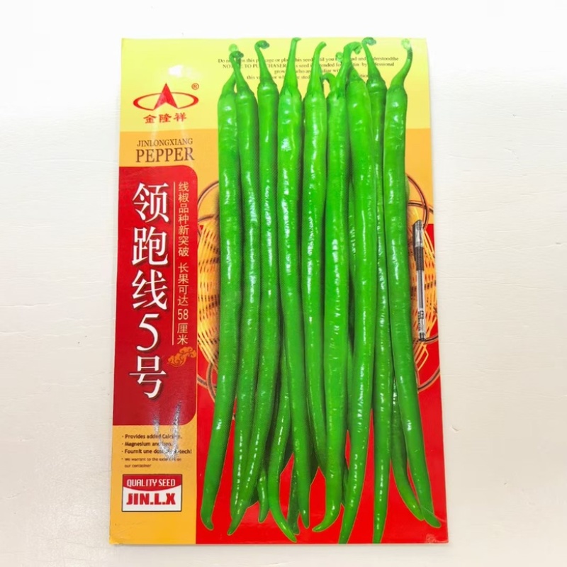 领跑线5号线椒品种杂交一代，青皮线椒品种，种子