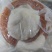 红烧鱼翅，杂粮鱼翅，蟹肉鱼翅，规格齐全，欢迎采购
