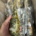 优质A级小青龙，保证品质，规格齐全，全国发货，欢迎联系