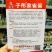 东北正宗家雀蛋豆角种子嘎嘎面肉厚清香小红鱼面豆鼓豆角种籽
