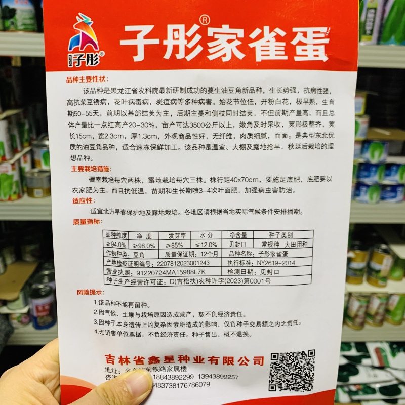 东北正宗家雀蛋豆角种子嘎嘎面肉厚清香小红鱼面豆鼓豆角种籽