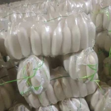 白萝卜大量供应质优价廉