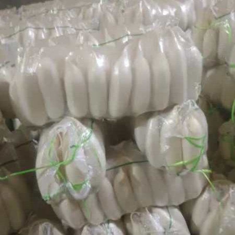 白萝卜大量供应质优价廉