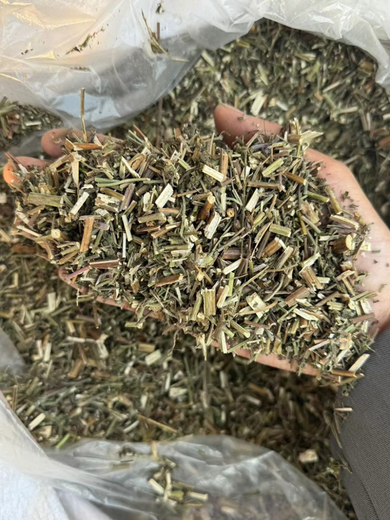 荆芥过筛货干净实拍现货干货荆芥药用荆芥
