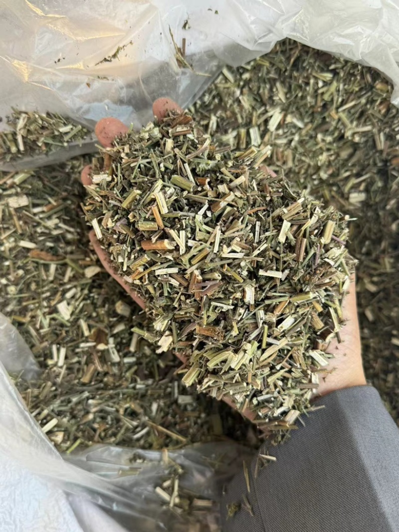 荆芥过筛货干净实拍现货干货荆芥药用荆芥