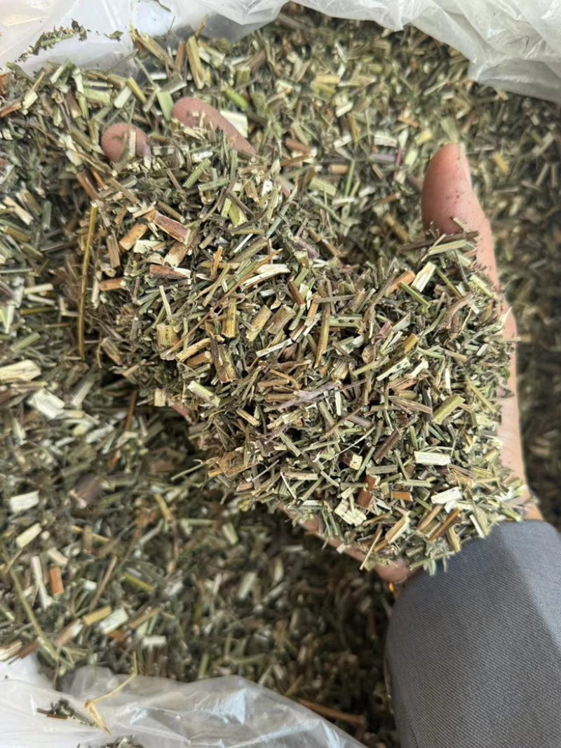 荆芥过筛货干净实拍现货干货荆芥药用荆芥