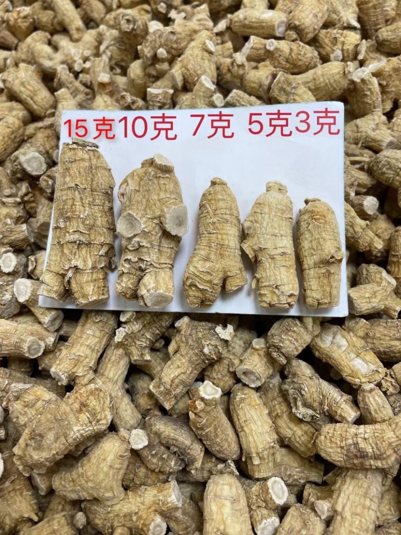 花旗参进口圆粒西洋参粒头参味浓郁高端配送手提袋送礼佳品