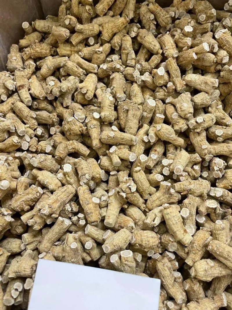 花旗参进口圆粒西洋参粒头参味浓郁高端配送手提袋送礼佳品