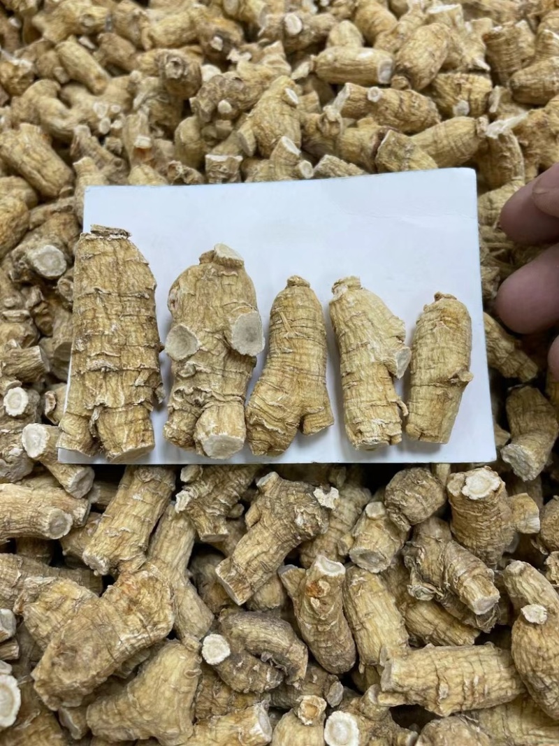 花旗参进口圆粒西洋参粒头参味浓郁高端配送手提袋送礼佳品
