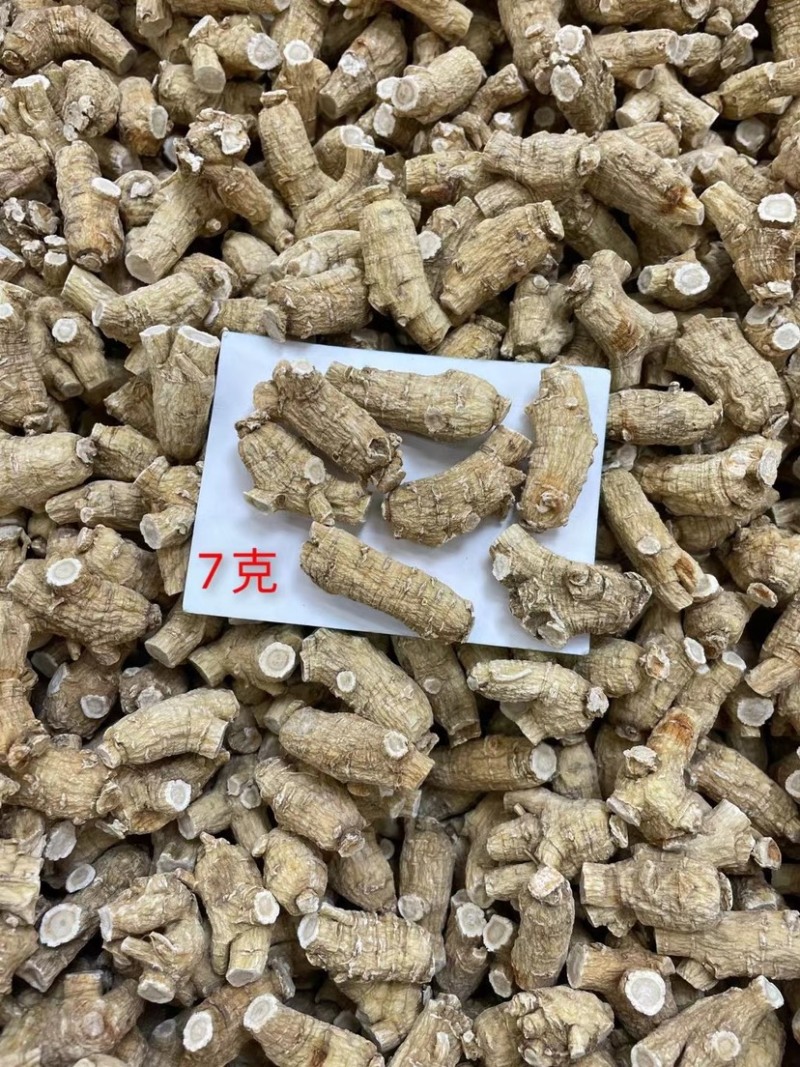 花旗参进口圆粒西洋参粒头参味浓郁高端配送手提袋送礼佳品