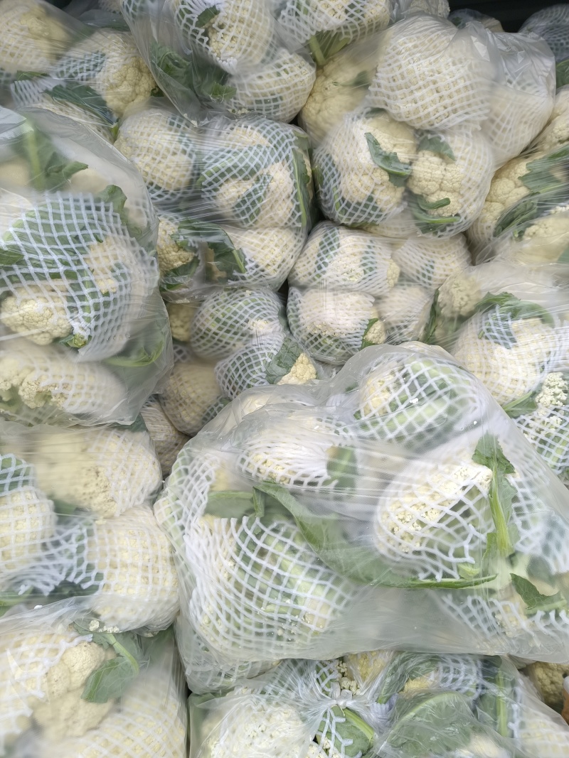 花菜春秋量大欢迎光临