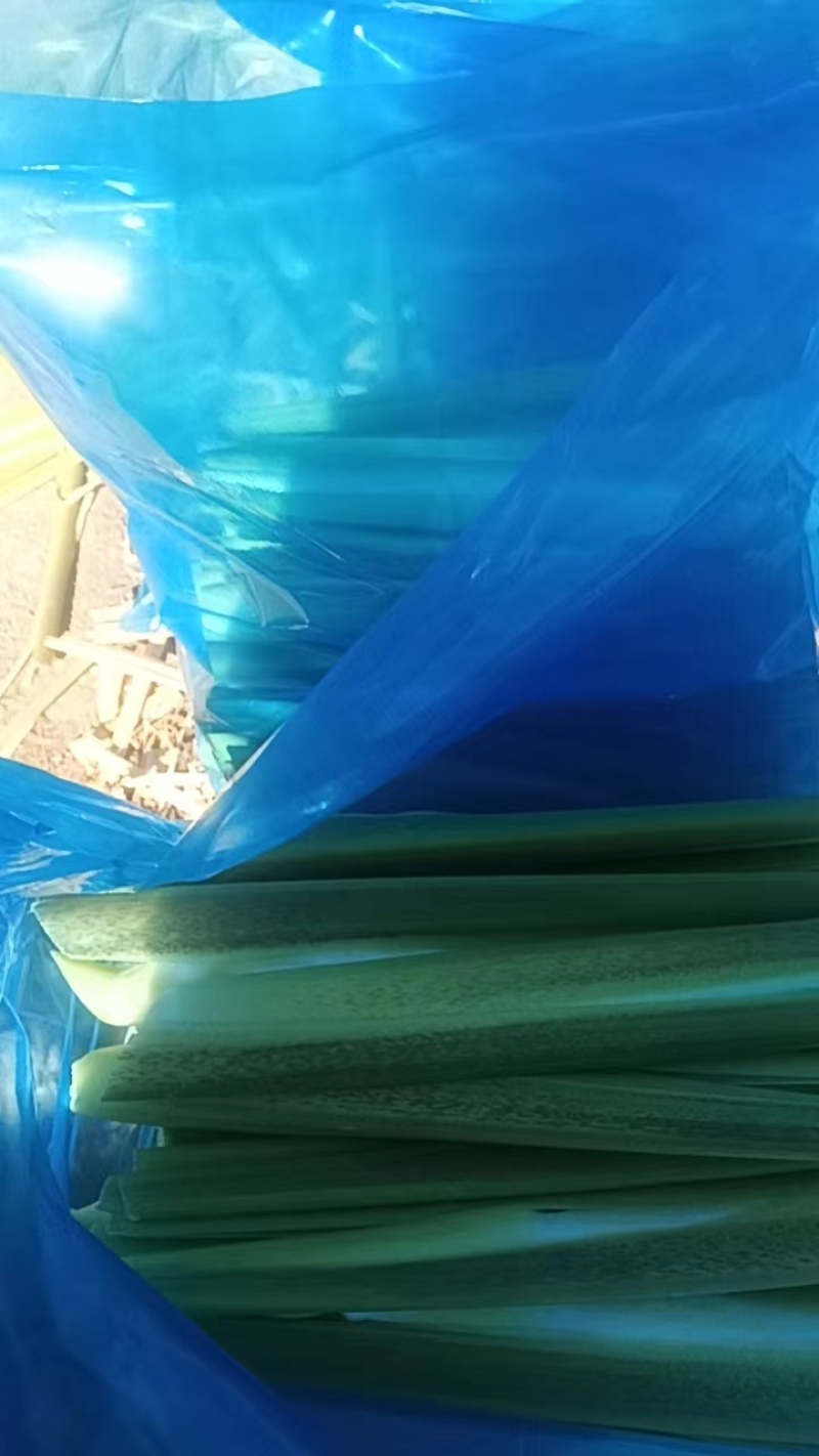 茭白，精品茭白大量上市，保质保量，对接全国采购商