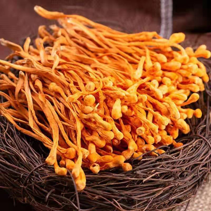虫草花干货无硫农家新货手选精品食用菌煲汤食材批发
