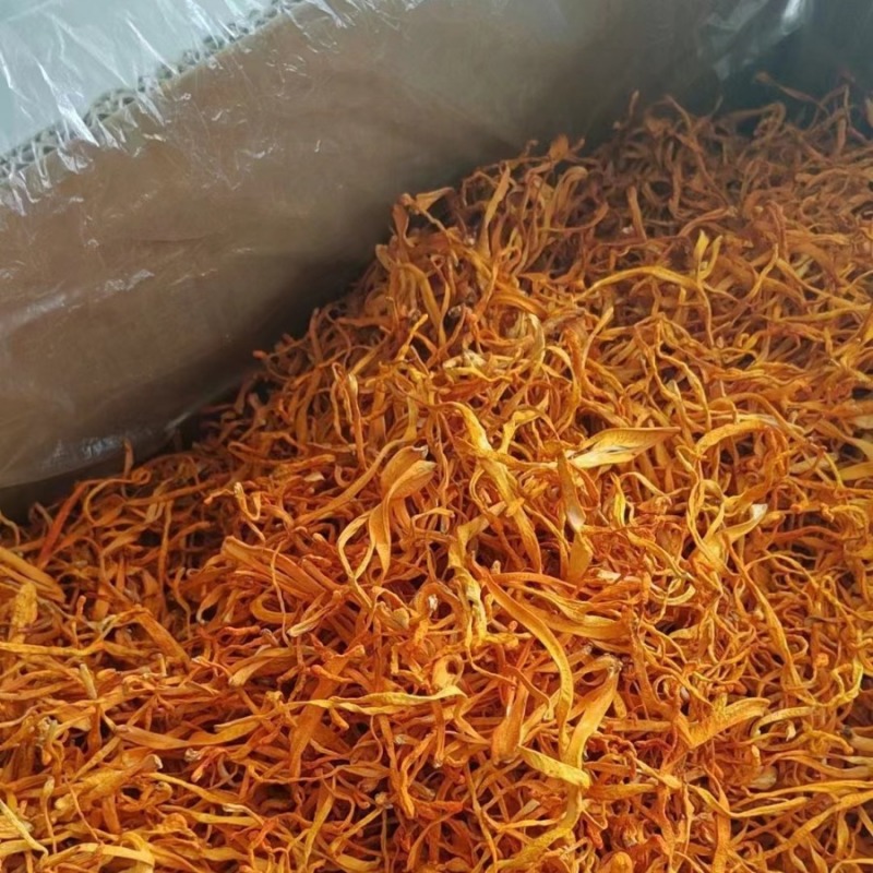 虫草花干货无硫农家新货手选精品食用菌煲汤食材批发