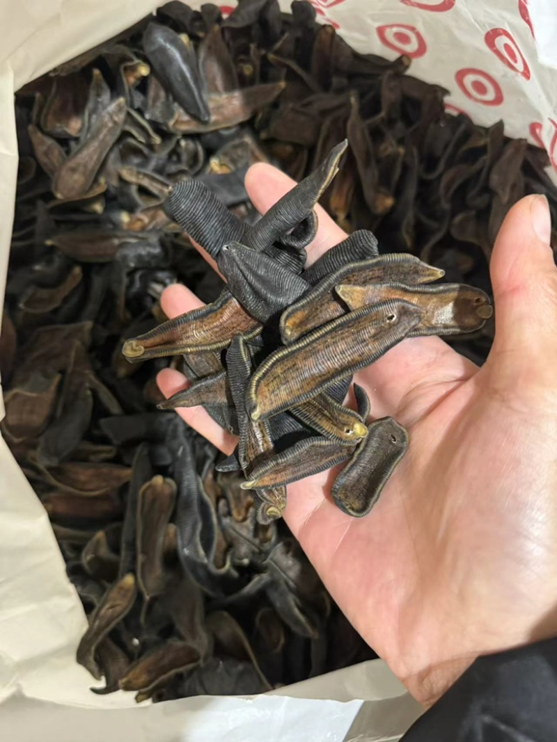 水蛭正品清水水蛭宽体金线干货水蛭清水吊杆无矾无盐