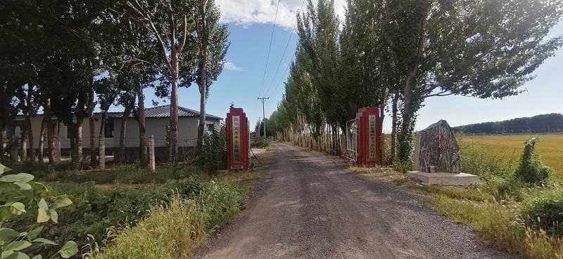 盘锦蟹田大米，盐碱地大米